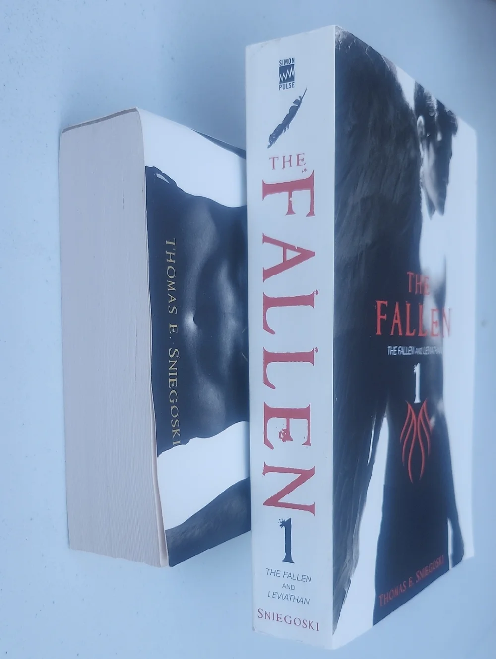 The Fallen Book Set - Picture 3 of 5